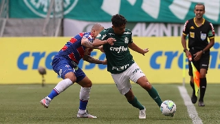 Verdão é o primeiro colocado do Brasileiro com 32 pontos. Foto: Cesar Greco