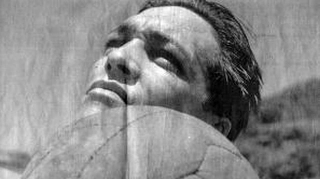 As gloriosas onze estrelas do Fogão