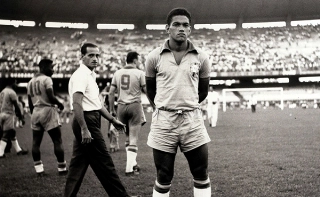 Garrincha, Ruy Castro e o copo