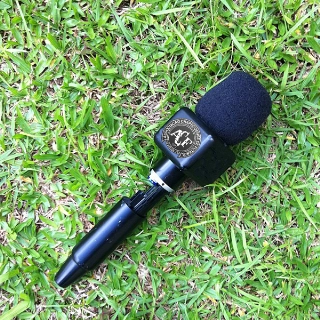 Jornalista esportivo: contador de hist&oacute;rias que une jogadores e torcidas