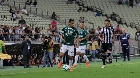Em meio a turbulências, Palmeiras de Felipão testa status no mata-mata