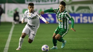 Verdão vem de classificação para a final da Libertadores e tenta colar no Galo no Brasileiro. Foto: Cesar Greco
