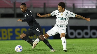 Verdão não vence há três jogos no Brasileirão. Foto: Cesar Greco