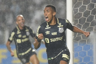 Ao vencer o Fluminense, na Vila, Peixe alcançou 32 pontos e deixou a zona de rebaixamento. Foto: Ivan Storti/Santos FC