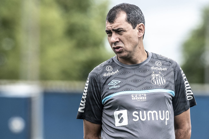 Técnico santista ainda não está garantido no clube para o próximo ano. Foto: Ivan Storti/Santos FC