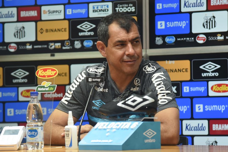 Treinador santista disse que o Peixe se reforçará para a próxima temporada. Foto: Ivan Storti/Santos FC