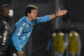 Desempregado, o treinador já teria até recebido contato do clube mineiro. Foto: Ivan Storti/Santos FC