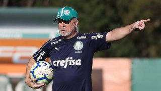 Técnico assumiu o Palmeiras há menos de uma semana. Foto: Divulgação/Palmeiras