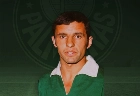 Parabéns, Artime! Goleador do Palmeiras no final dos anos 60 completa 87 anos!