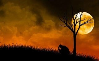 Clique aqui e saiba maiores informações