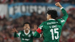 Alviverde recebe a equipe cearense no Allianz Parque neste sábado. Foto: Divulgação/Palmeiras