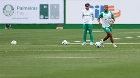 Palmeiras encara a LDU na altitude no jogo de ida das quartas de final da Libertadores; os times
