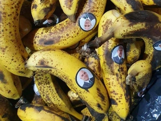 Mancha Alvi Verde pediu a saída de Galiotte e Alexandre Mattos. Foto: Divulgação