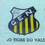 Grêmio Novorizontino presta homenagem a jogadores por marca centenária