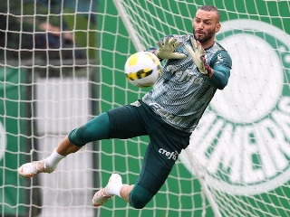 Goleiro alviverde deve perder ao menos três jogos do Brasileirão. Foto: Cesar Greco