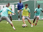 Palmeiras e Novorizontino iniciam hoje decis&atilde;o do Paulista; poss&iacute;veis times