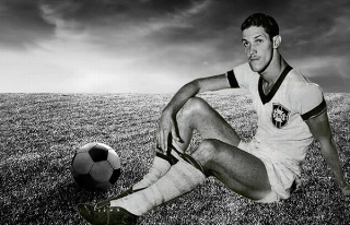 Marcos J&uacute;nior Micheletti - Saudade: Artilheiro da Copa de 50, Ademir de Menezes nos deixava h&aacute; 30 anos