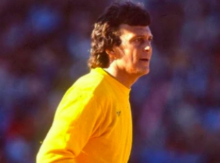 PARAB&Eacute;NS, RAUL PLASSMANN - O goleiro da camisa amarela completa 82 anos!