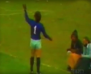 Goleiro palmeirense ficou furioso com o &aacute;rbitro Dulc&iacute;dio Wanderley Boschillia. Foto: Reprodu&ccedil;&atilde;o