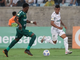 Verdão tem 30 pontos e foi ultrapassado momentaneamente pelo Galo na liderança do Campeonato. Foto: Cesar Greco