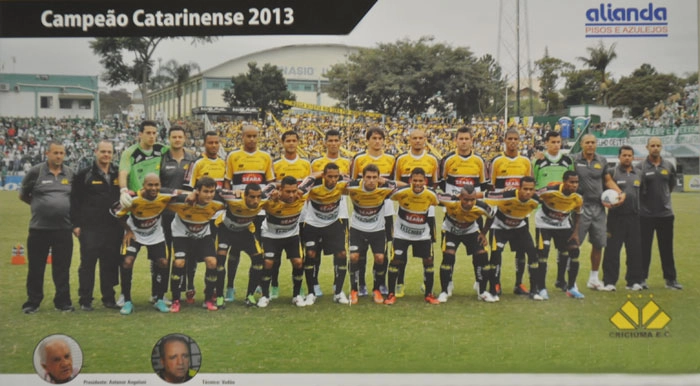 Da esquerda para a direita, em pé: Gilmar (enfermeiro), Marcelo Beirão (médico), Hélton Leite, Gaetano Lupatini (auxiliar de preparação física), João Vitor, Thiago Heleno, Élton, Marlon, Matheus Ferraz, Marcel, Giancarlo, Éwerton Páscoa, Bruno, Bira (treinador de goleiros), Luiz Fernando (preparador físico) e Tiago Marcelino (auxiliar de preparação física). Agachados: Tartá, Bruno Renan, Tiago Dutra, Élson, Gílson, Ivo, Fabinho, Amaral, Suéliton e Lins. No canto esquerdo da foto: Antenor Angeloni e Vadão. Imagem: Revista Eldorado Super Esporte