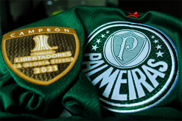 Tudo sobre Palmeiras