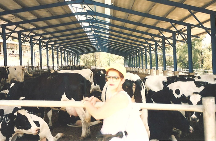 Lenice foi conhecer o estábulo-galpão climatizado para que as bem cuidadas vacas holandesas produzam mais de 20 litros de leite por dia. Calor inclemente do lado de fora e temperatura amena para os animais