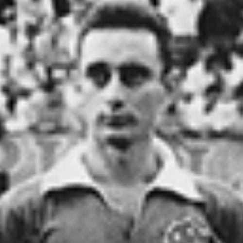 Amauri  - Ex-volante do Cruzeiro