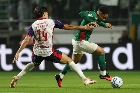 Palmeiras decide seu futuro na Libertadores nesta noite contra o Cerro Porte&ntilde;o; as equipes
