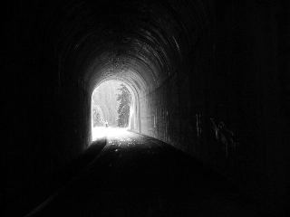 Esperança pelas frutas e uma estrela do Cruzeiro do Sul. Foto: Reprodução