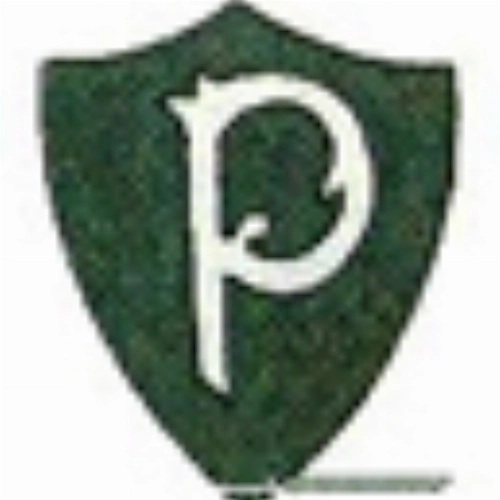 Palmeiras de Blumenau  - Extinto clube de Santa Catarina