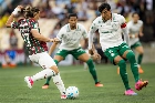 Fluminense e Palmeiras iniciam semifinal da Libertadores; as equipes