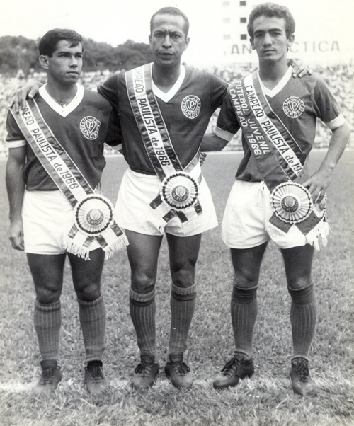 Zequinha (ao centro) comemora o Paulista de 1966 conquistado pelo Palmeiras. A foto é de Sarkis