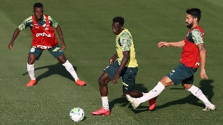 Alviverde vai embalado ao Rio após a conquista no Paulista. Foto: Cesar Greco/Ag.Palmeiras