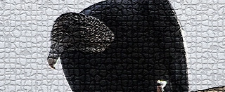 Mas aprendam, não tripudiem sobre os vencidos, pois a dor da derrota costuma ensinar melhor que o mel enganoso da vitória.