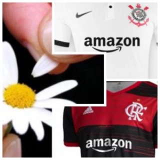 Uma das empresas mais ricas do mundo parece brincar de “mal me quer, bem me quer” com os 2 clubes