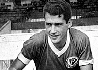 Pires defendeu o Palmeiras nos anos 60