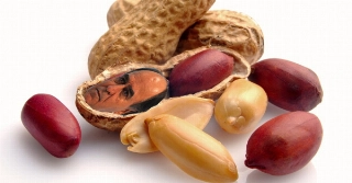 Marcelo Oliveira: Mais um que engasga com a turma do amendoim 