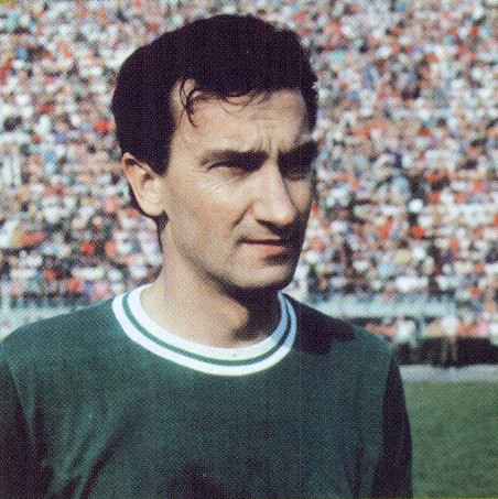 Em 1973, Dudu foi Campeão Brasileiro com esta camisa do Palmeiras. Foto: Revista oficial do Palmeiras