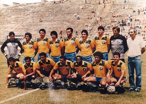 Sele&ccedil;&atilde;o Brasileira de masters em 1989 comandada por Alfredo Mostarda. Em p&eacute; vemos Renato. Eurico, Figueroa, Carpinelli, Jaime, Carpegiani, Hermes, Ado e Alfredo Mostarda; agachados est&atilde;o Wilson Carrasco, Cafuringa, Gil, Rivellino, Edu, Romeu e Douglas

