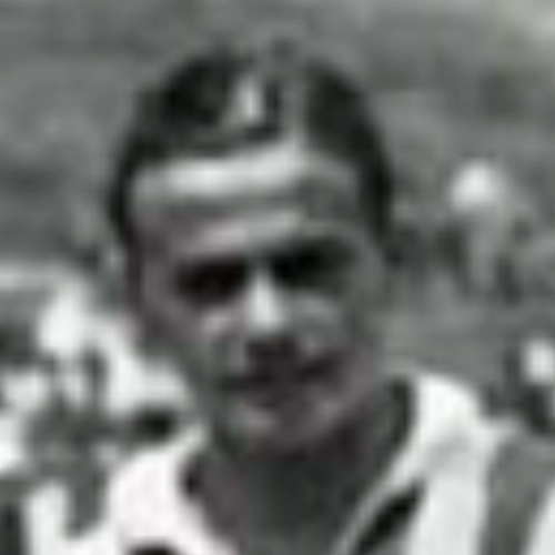 Pamplona    - Ex-volante do Botafogo