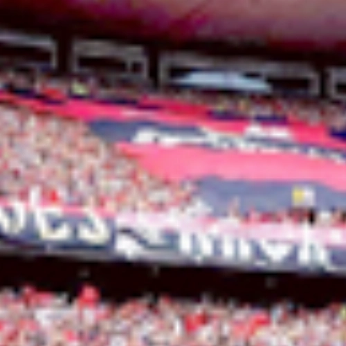 Nação Rubro-Negra  - Torcida do Flamengo