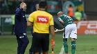 Palmeiras busca liderança e melhor sequência da história contra Atlético-MG