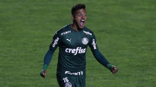 Foto: Cesar Greco/Ag. Palmeiras 