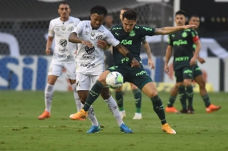 Verdão e Peixe fazem a final da Libertadores no dia 30. Foto: Ivan Storti/Santos FC