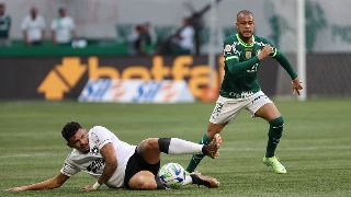 Jogo marcará duelo entre líder e vice-líder da classificação. Foto: Cesar Greco/Palmeiras