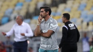 Treinador reconheceu a superioridade flamenguista na derrota por 3 a 0. Foto: Cesar Greco/Palmeiras