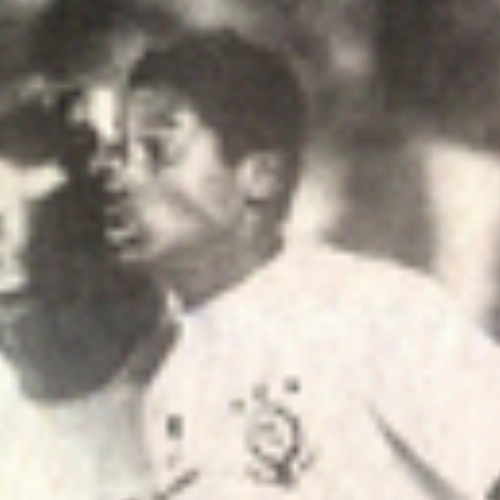 O nascimento de Viola, em 88 - Mem&oacute;ria