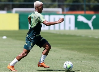 Atacante alviverde se lesionou no início de janeiro e perdeu a reta final da Libertadores e o Mundial. Foto: Fabio Menotti