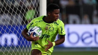 Palmeiras, São Paulo, Corinthians e Santos tiveram anos bem diferentes uns dos outros. Foto: Cesar Greco/Palmeiras